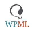 wpml-icon Digital Marketing Agency | Grow Your Business Online